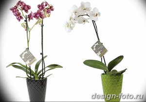 фото Орхидеи в интерьере 28.11.2018 №005 - photo Orchids in the interior - design-foto.ru