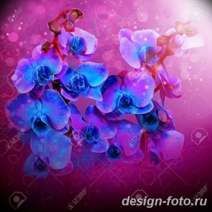 Beautiful flowers blue orchids,
