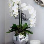 фото Орхидеи в интерьере 28.11.2018 №012 - photo Orchids in the interior - design-foto.ru