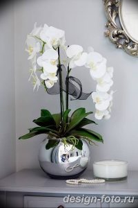 фото Орхидеи в интерьере 28.11.2018 №012 - photo Orchids in the interior - design-foto.ru