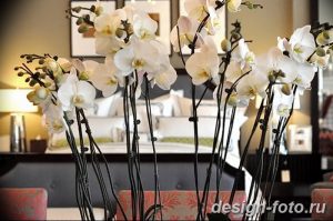 фото Орхидеи в интерьере 28.11.2018 №014 - photo Orchids in the interior - design-foto.ru