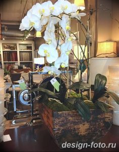 фото Орхидеи в интерьере 28.11.2018 №015 - photo Orchids in the interior - design-foto.ru