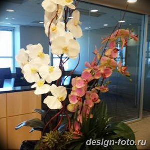 фото Орхидеи в интерьере 28.11.2018 №016 - photo Orchids in the interior - design-foto.ru
