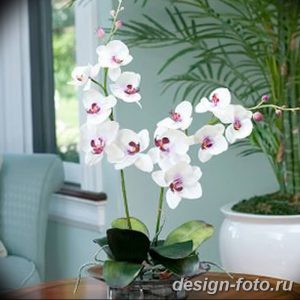 фото Орхидеи в интерьере 28.11.2018 №017 - photo Orchids in the interior - design-foto.ru