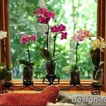 фото Орхидеи в интерьере 28.11.2018 №025 - photo Orchids in the interior - design-foto.ru