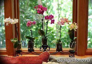 фото Орхидеи в интерьере 28.11.2018 №025 - photo Orchids in the interior - design-foto.ru