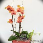 фото Орхидеи в интерьере 28.11.2018 №028 - photo Orchids in the interior - design-foto.ru