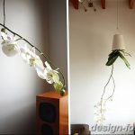 фото Орхидеи в интерьере 28.11.2018 №029 - photo Orchids in the interior - design-foto.ru