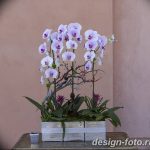 фото Орхидеи в интерьере 28.11.2018 №030 - photo Orchids in the interior - design-foto.ru