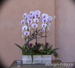 фото Орхидеи в интерьере 28.11.2018 №030 - photo Orchids in the interior - design-foto.ru