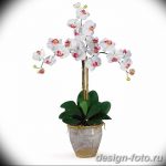 фото Орхидеи в интерьере 28.11.2018 №031 - photo Orchids in the interior - design-foto.ru
