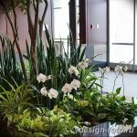 фото Орхидеи в интерьере 28.11.2018 №032 - photo Orchids in the interior - design-foto.ru
