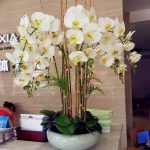 фото Орхидеи в интерьере 28.11.2018 №037 - photo Orchids in the interior - design-foto.ru
