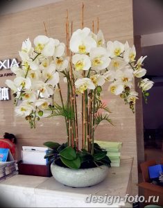 фото Орхидеи в интерьере 28.11.2018 №037 - photo Orchids in the interior - design-foto.ru