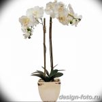 фото Орхидеи в интерьере 28.11.2018 №038 - photo Orchids in the interior - design-foto.ru