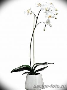 фото Орхидеи в интерьере 28.11.2018 №039 - photo Orchids in the interior - design-foto.ru