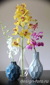 фото Орхидеи в интерьере 28.11.2018 №040 - photo Orchids in the interior - design-foto.ru