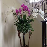 фото Орхидеи в интерьере 28.11.2018 №044 - photo Orchids in the interior - design-foto.ru