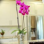 фото Орхидеи в интерьере 28.11.2018 №045 - photo Orchids in the interior - design-foto.ru