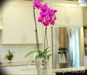 фото Орхидеи в интерьере 28.11.2018 №045 - photo Orchids in the interior - design-foto.ru