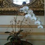 фото Орхидеи в интерьере 28.11.2018 №049 - photo Orchids in the interior - design-foto.ru
