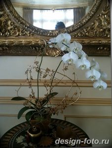 фото Орхидеи в интерьере 28.11.2018 №049 - photo Orchids in the interior - design-foto.ru