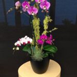 фото Орхидеи в интерьере 28.11.2018 №051 - photo Orchids in the interior - design-foto.ru