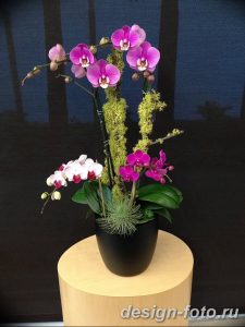 фото Орхидеи в интерьере 28.11.2018 №051 - photo Orchids in the interior - design-foto.ru