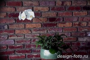 фото Орхидеи в интерьере 28.11.2018 №055 - photo Orchids in the interior - design-foto.ru
