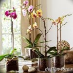фото Орхидеи в интерьере 28.11.2018 №057 - photo Orchids in the interior - design-foto.ru