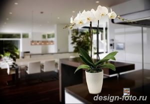 фото Орхидеи в интерьере 28.11.2018 №062 - photo Orchids in the interior - design-foto.ru