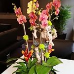 фото Орхидеи в интерьере 28.11.2018 №065 - photo Orchids in the interior - design-foto.ru