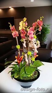 фото Орхидеи в интерьере 28.11.2018 №065 - photo Orchids in the interior - design-foto.ru