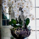 фото Орхидеи в интерьере 28.11.2018 №067 - photo Orchids in the interior - design-foto.ru