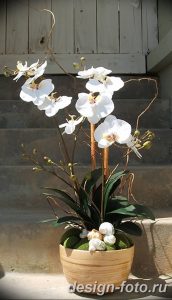 фото Орхидеи в интерьере 28.11.2018 №068 - photo Orchids in the interior - design-foto.ru