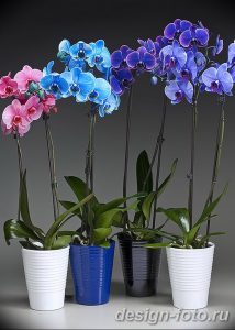 фото Орхидеи в интерьере 28.11.2018 №069 - photo Orchids in the interior - design-foto.ru