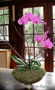 фото Орхидеи в интерьере 28.11.2018 №071 - photo Orchids in the interior - design-foto.ru