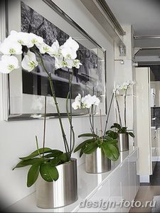 фото Орхидеи в интерьере 28.11.2018 №076 - photo Orchids in the interior - design-foto.ru