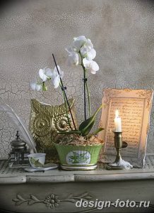 фото Орхидеи в интерьере 28.11.2018 №078 - photo Orchids in the interior - design-foto.ru