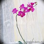 фото Орхидеи в интерьере 28.11.2018 №080 - photo Orchids in the interior - design-foto.ru