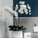 фото Орхидеи в интерьере 28.11.2018 №088 - photo Orchids in the interior - design-foto.ru