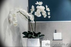 фото Орхидеи в интерьере 28.11.2018 №088 - photo Orchids in the interior - design-foto.ru