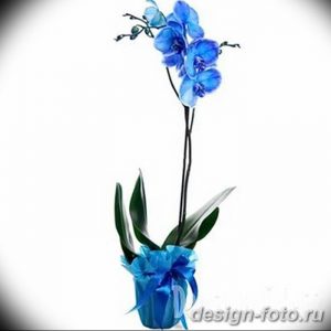 фото Орхидеи в интерьере 28.11.2018 №090 - photo Orchids in the interior - design-foto.ru