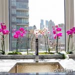 фото Орхидеи в интерьере 28.11.2018 №092 - photo Orchids in the interior - design-foto.ru