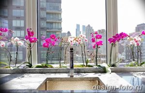 фото Орхидеи в интерьере 28.11.2018 №092 - photo Orchids in the interior - design-foto.ru