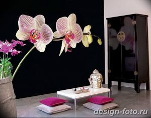 фото Орхидеи в интерьере 28.11.2018 №101 - photo Orchids in the interior - design-foto.ru