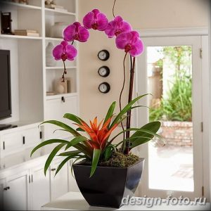фото Орхидеи в интерьере 28.11.2018 №102 - photo Orchids in the interior - design-foto.ru