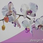 фото Орхидеи в интерьере 28.11.2018 №106 - photo Orchids in the interior - design-foto.ru