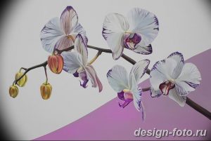 фото Орхидеи в интерьере 28.11.2018 №106 - photo Orchids in the interior - design-foto.ru