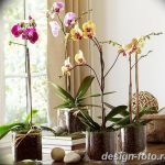 фото Орхидеи в интерьере 28.11.2018 №110 - photo Orchids in the interior - design-foto.ru